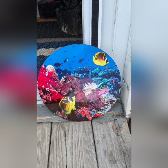 Raccoon Butterflyfish Metal Circular Picture - Picture 2 of 5